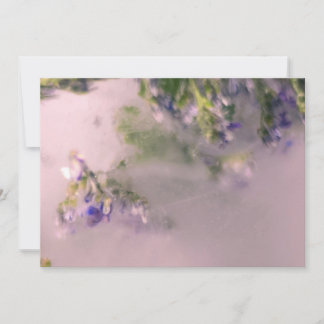 Cartes Pour Fêtes Annuelles Lavender Frost