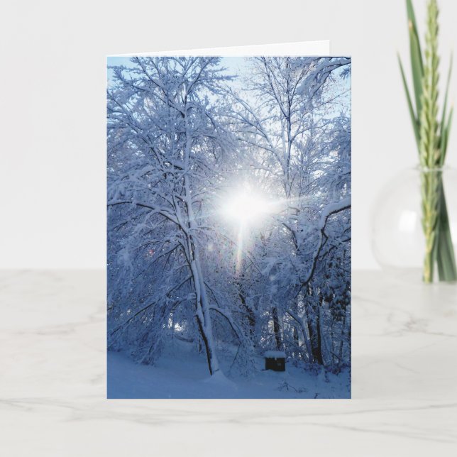 Cartes Pour Fêtes Annuelles Le baiser de l'hiver (Devant)