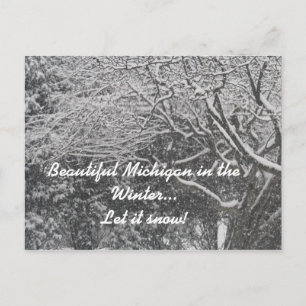 Cartes Pour Fêtes Annuelles Le beau Michigan pendant l'hiver… l'a laissé