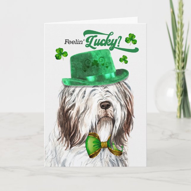 Cartes Pour Fêtes Annuelles Le berger anglais Feelin' Lucky St Patrick's Day (Devant)