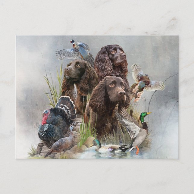 Cartes Pour Fêtes Annuelles Le Boykin Spaniel (Devant)