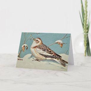 Cartes Pour Fêtes Annuelles Le Bruant des neiges