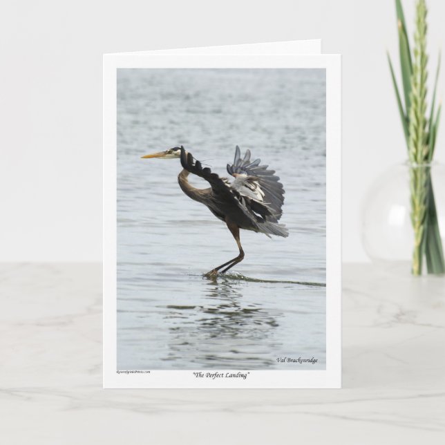 Cartes Pour Fêtes Annuelles Le cadeau parfait Landing Blue Heron (Devant)