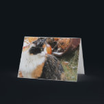 Cartes Pour Fêtes Annuelles Le chat de calicot de Milou ajoutent votre texte<br><div class="desc">Exprimez vos sentiments avec le puma. Changez l'expression pour dire ce que jamais vous voulez.</div>