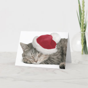 Cartes Pour Fêtes Annuelles Le chat gris dort dans un Casquette du Nouvel An