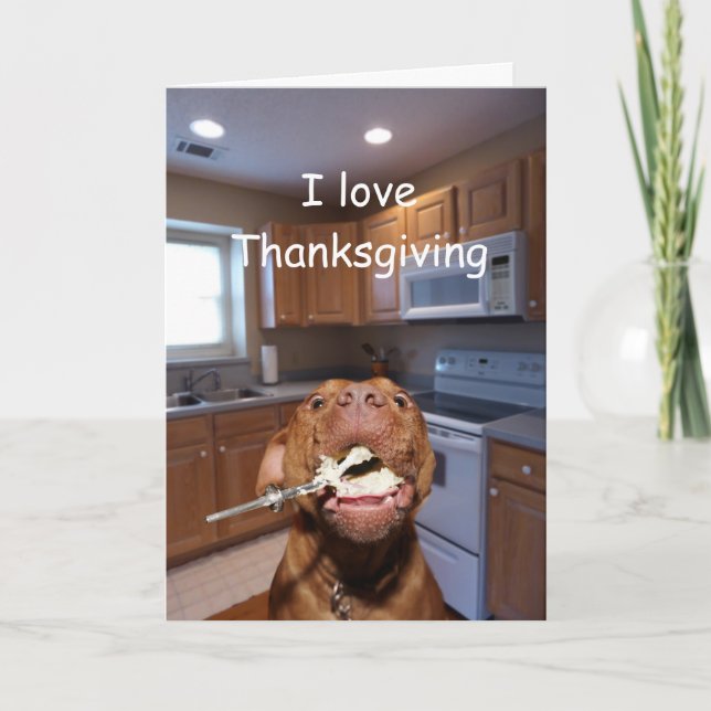 Cartes Pour Fêtes Annuelles Le chien aime le thanksgiving (Devant)