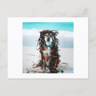Cartes Pour Fêtes Annuelles Le chien avec de l'algue dans ses cheveux