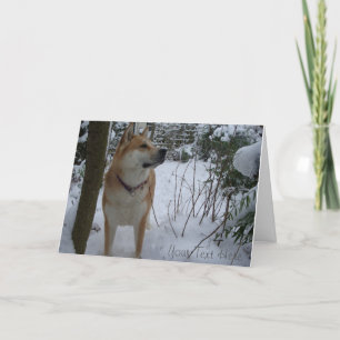 Cartes Pour Fêtes Annuelles le chien d'akita dans la neige a couvert Noël de