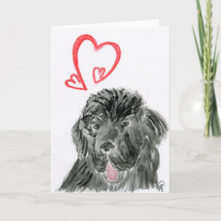 Cartes Pour Fêtes Annuelles Le chien de Terre-Neuve aime la Saint-Valentin