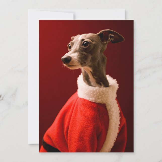 Cartes Pour Fêtes Annuelles Le chien porte les vêtements de Noël de père (Devant)