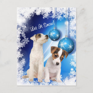 Cartes Pour Fêtes Annuelles Le chiot de Jack Russell l'a laissé neiger la
