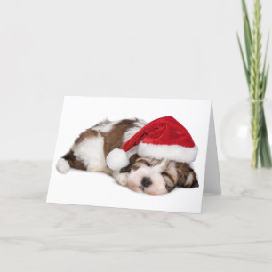Cartes Pour Fêtes Annuelles Le chiot mignon de sommeil Havanese rêve
