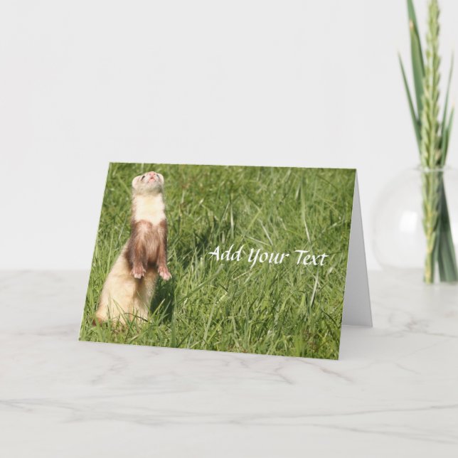 Cartes Pour Fêtes Annuelles Le ciel est en haut des furets (Devant)