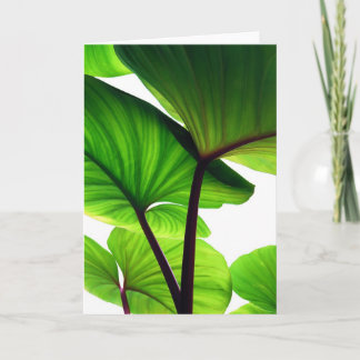 Cartes Pour Fêtes Annuelles Le citrouille laisse la photo florale