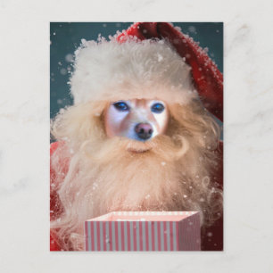 Cartes Pour Fêtes Annuelles Le Fox est Père Noël avec un cadeau