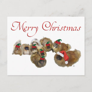 Cartes Pour Fêtes Annuelles Le groupe des Pékinois célèbre Noël