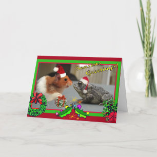 Cartes Pour Fêtes Annuelles Le hamster et le crapaud célèbrent Noël
