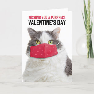 Cartes Pour Fêtes Annuelles Le Heureuse Sainte-Valentin Big Cat en masque faci