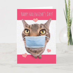 Cartes Pour Fêtes Annuelles Le Heureuse Sainte-Valentin Funny Tabby Cat en mas
