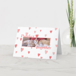 Cartes Pour Fêtes Annuelles Le Jour de la Valentine de Snuggling