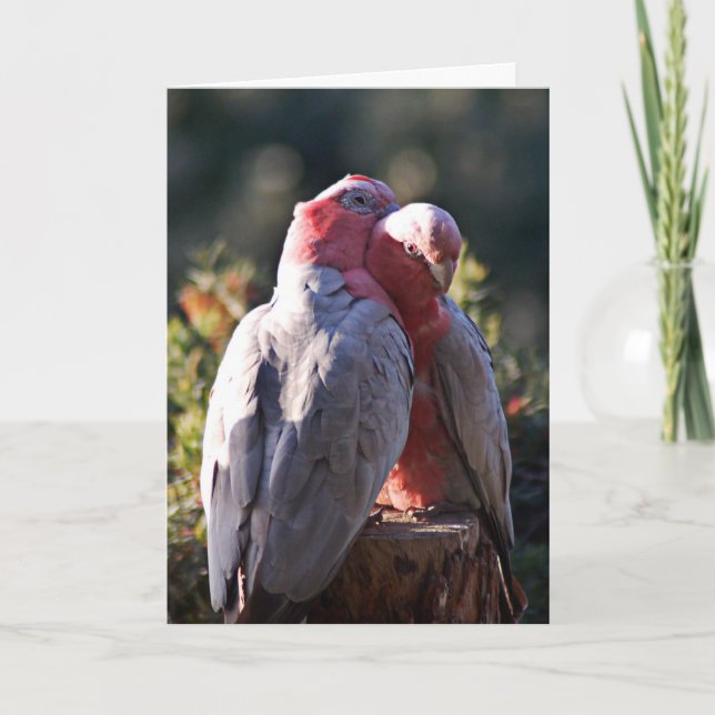 Cartes Pour Fêtes Annuelles Le jour parfait - Saint Valentin (Devant)