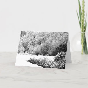 Cartes Pour Fêtes Annuelles Le Joyeuses Fêtes carde (non religieux)