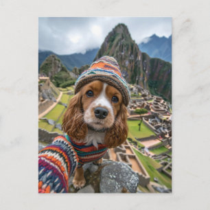 Cartes Pour Fêtes Annuelles Le King Charles Cocker Spaniel prend des selfies à