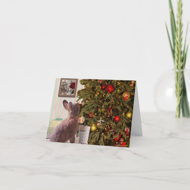 Cartes Pour Fêtes Annuelles Le lapin de Noël, qui pense mal (Devant)