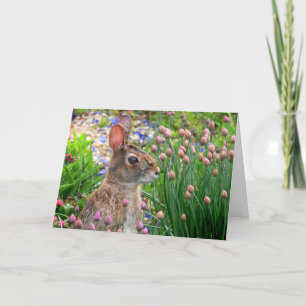 Cartes Pour Fêtes Annuelles le lapin de Pâques