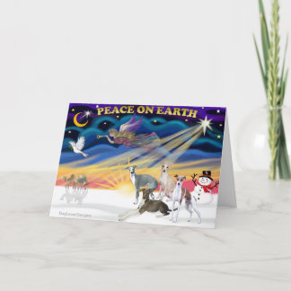 Cartes Pour Fêtes Annuelles Le lever du soleil de Noël - Quatre Gryhounds ital