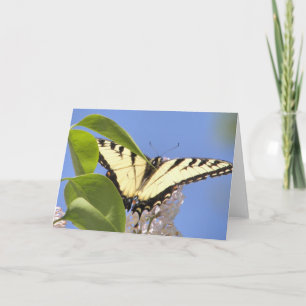 Cartes Pour Fêtes Annuelles Le machaon oriental de tigre effectue le vol