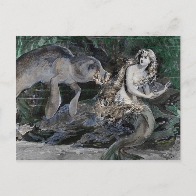 Cartes Pour Fêtes Annuelles Le Manatee rencontre une sirène (Devant)