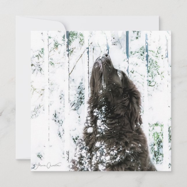 Cartes Pour Fêtes Annuelles Le pays des merveilles d'hiver (Devant)