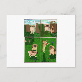 Cartes Pour Fêtes Annuelles Le Pekingese