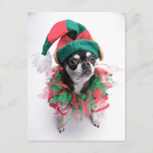 Cartes Pour Fêtes Annuelles Le Père Noël