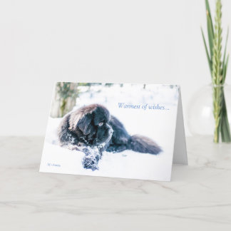 Cartes Pour Fêtes Annuelles Le plus chaud des souhaits…