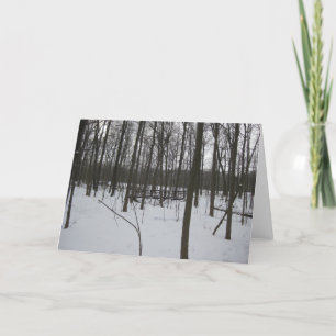 Cartes Pour Fêtes Annuelles Le pont en neige