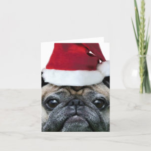 Cartes Pour Fêtes Annuelles Le Pug de Christmas