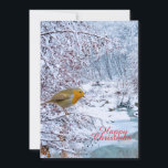 Cartes Pour Fêtes Annuelles Le Robin<br><div class="desc">Robin en scène hivernale pour la carte de Noël</div>