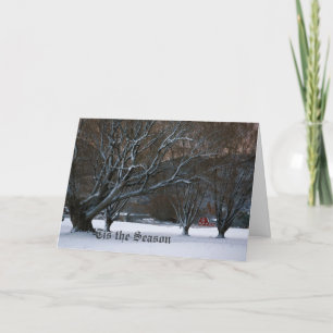 Cartes Pour Fêtes Annuelles Le silence de l'hiver