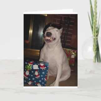 Cartes Pour Fêtes Annuelles le sourire de noël bull terrier