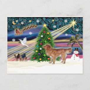 Cartes Pour Fêtes Annuelles Le stand de Xmas Magic-NovaScotia