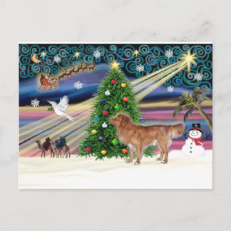 Cartes Pour Fêtes Annuelles Le stand de Xmas Magic-NovaScotia