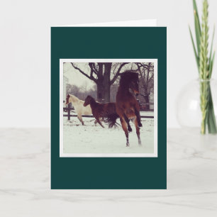 Cartes Pour Fêtes Annuelles Leaping Avery Holiday Card