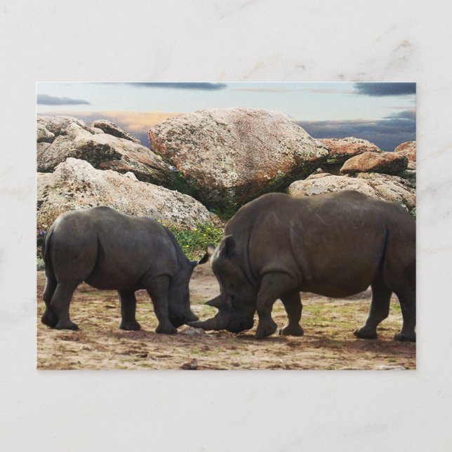 Cartes Pour Fêtes Annuelles Leçon de vie de rhinocéros bébé, (Devant)