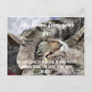 Cartes Pour Fêtes Annuelles Leçon de vie de votre animal de compagnie Motivati