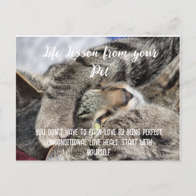 Cartes Pour Fêtes Annuelles Leçon de vie de votre animal de compagnie Motivati (Devant)