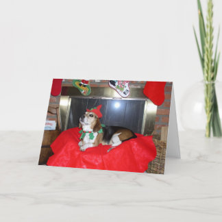 Cartes Pour Fêtes Annuelles L'elfe de Noël Beagle