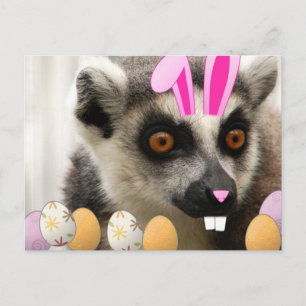 Cartes Pour Fêtes Annuelles Lemur Easter