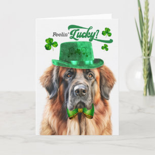 Cartes Pour Fêtes Annuelles Leonberger Dog Feelin' Lucky St Patrick's Day